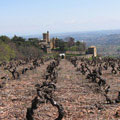 Vignoble Beaujolais